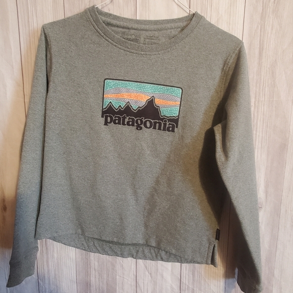 Patagonia Heather Gray Long Sleeve with Mountain Graphic. Sz Small. Regular Fit - Picture 2 of 8
